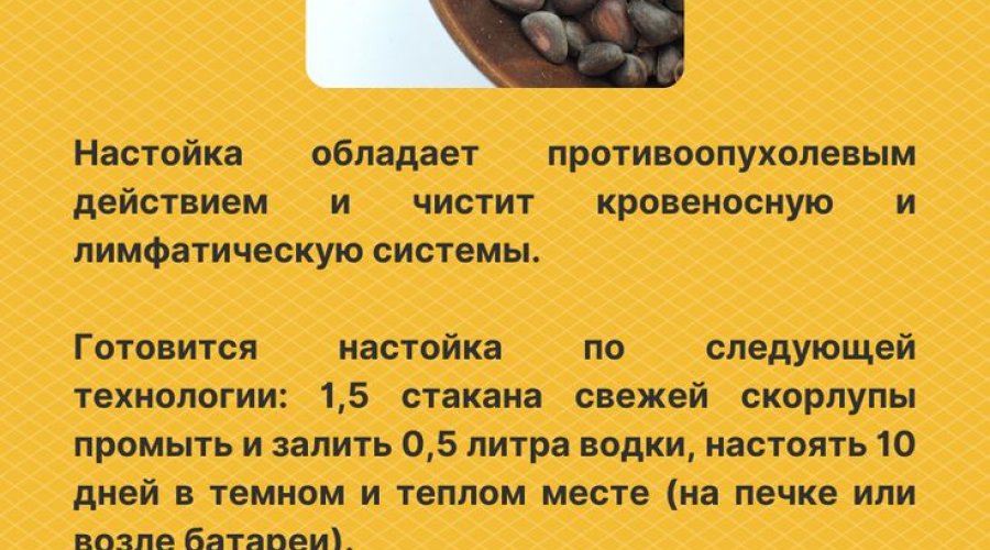 Настойка на скорлупе кедровых орехов